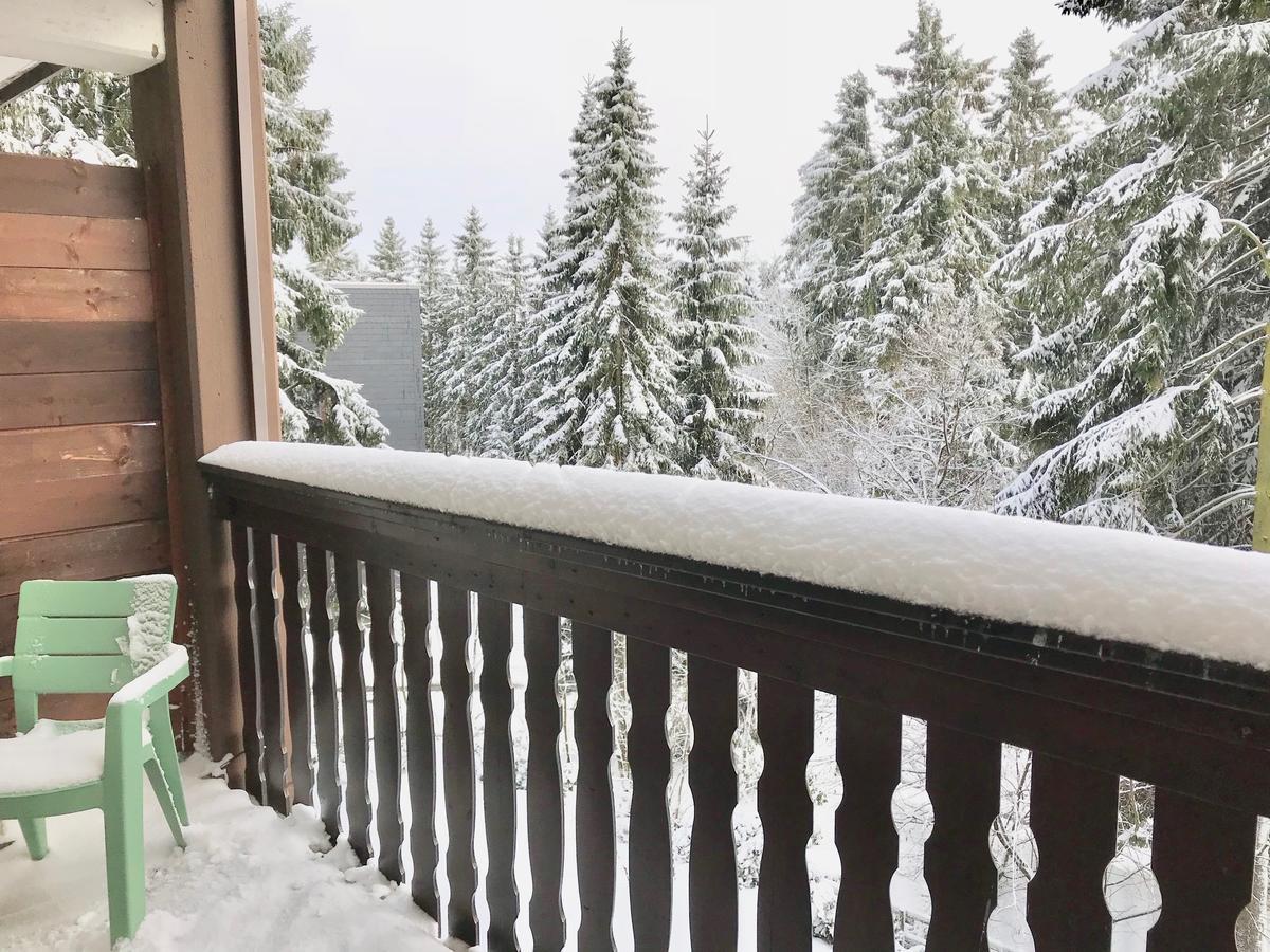 Kappeberg Lodge Winterberg Kültér fotó